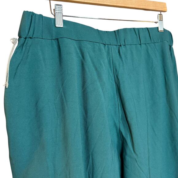 NWOT A New Day teal cargo jogger slacks with elastic waist band Women's 16 - Picture 7 of 8